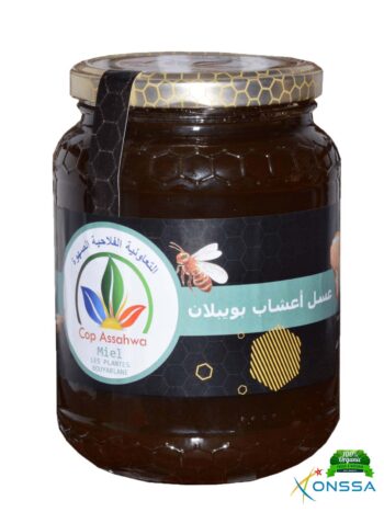 Miel aux herbes de Pueblan – Image 4